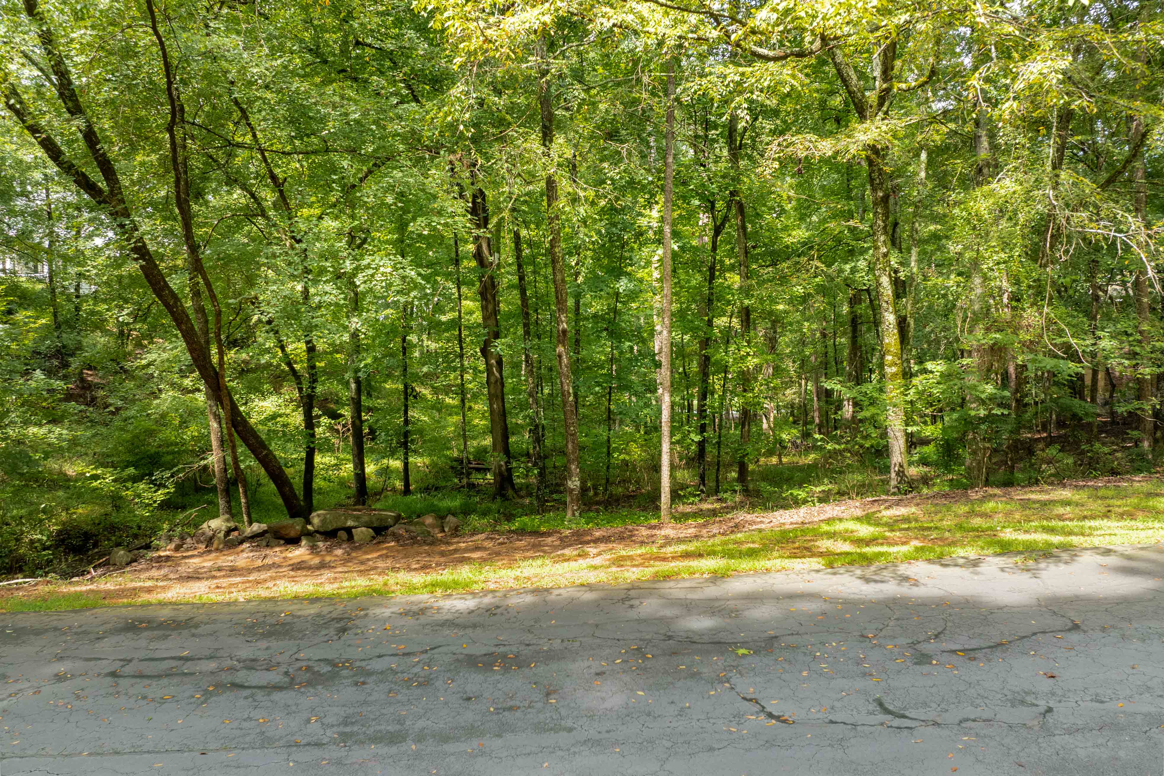 1161 Shoulder Bone Circle image 2